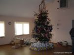 DSCF3429.JPG